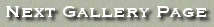 Button Bar