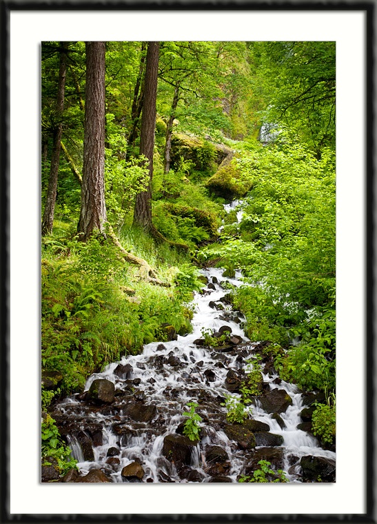Colorful Stream