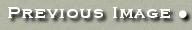 Previous Button