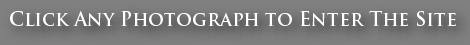 Click Any Photograph to Enter the Site