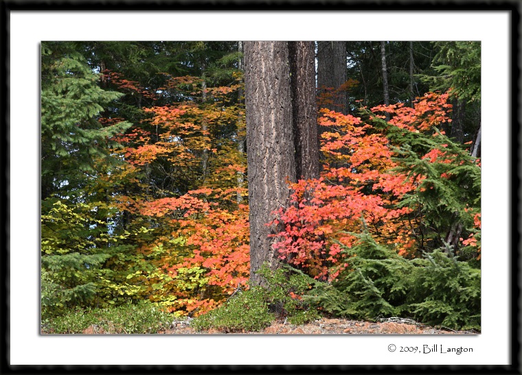 Rogue River Colors