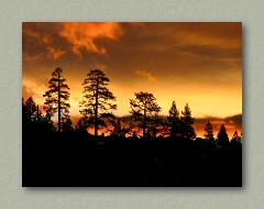 Sunrise Silhouette - Lake Tahoe - Thumbnail Image