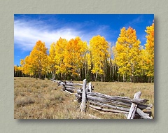 Beautiful Fall Colors - Thumbnail Image