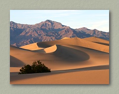 Death Valley Sand Dunes - Thumbnail Image