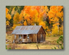 Cabin in the Autumn Woods, Thumbnail Image