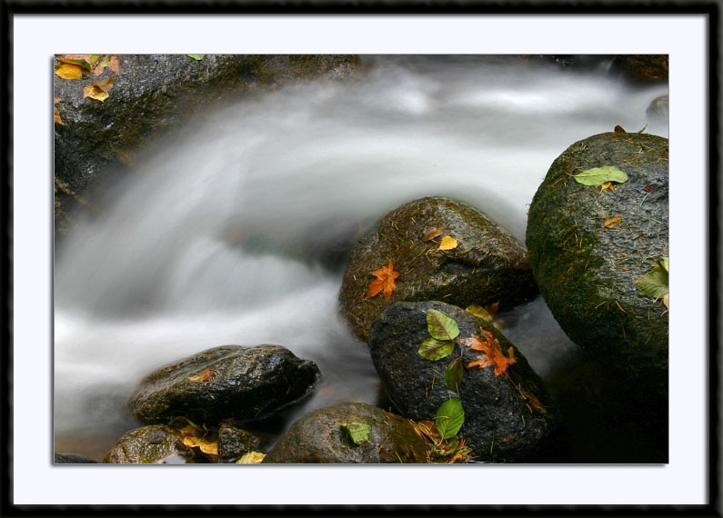 Lithia Creek, (C) 2003, Bill Langton's Fine Art Photography