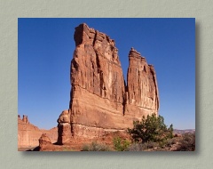 The Organ, Thumbnail Image