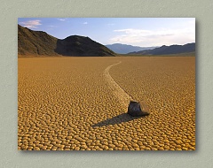 The Racetrack - Thumbnail Image