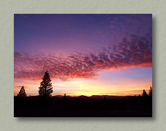 Sierra Sunset, Thumbnail Image